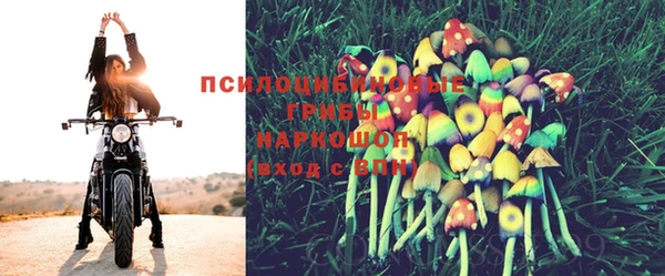 кристаллы Богородск