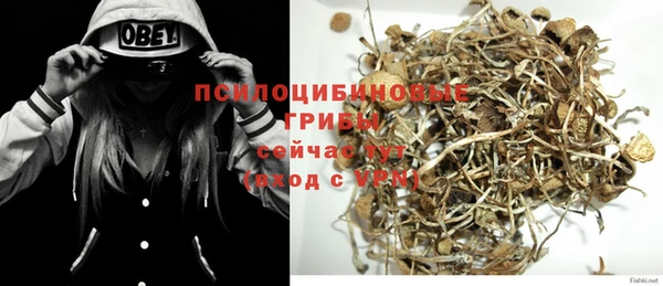 COCAINE Богородицк