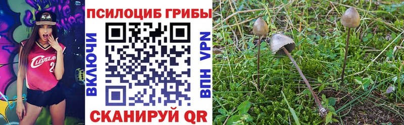 Псилоцибиновые грибы мухоморы  Купить  Ак-Довурак 
